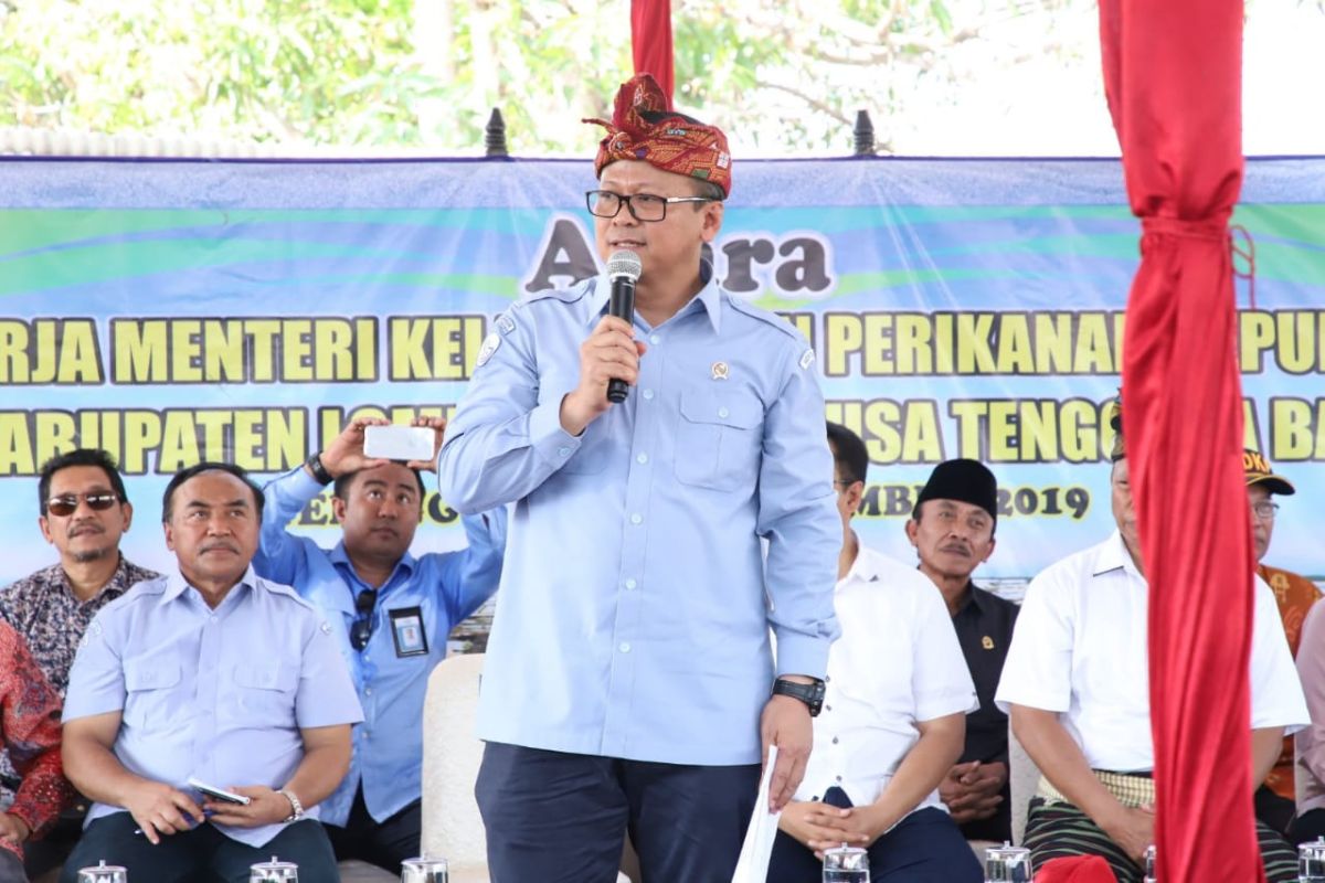 Menteri Edhy: Pembesaran benih lobster mendorong nilai tambah