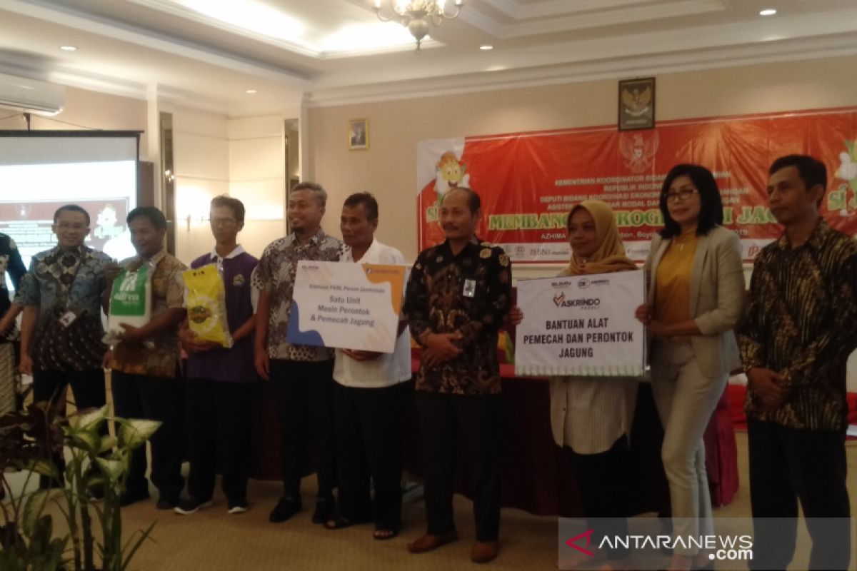 Perusahaan Perdagangan Indonesia siap serap jagung petani