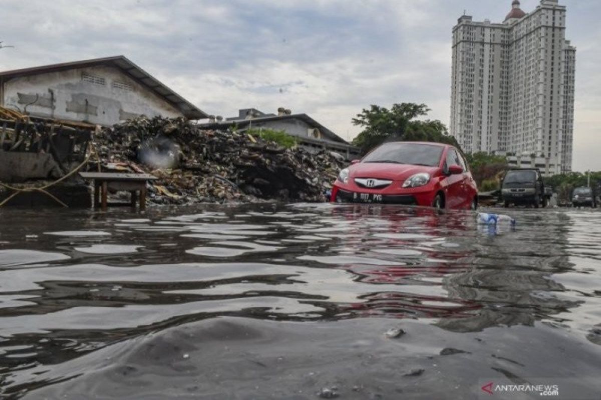 Jepang akan kirim staf ke Indonesia untuk bantu kerja sama pencegahan banjir