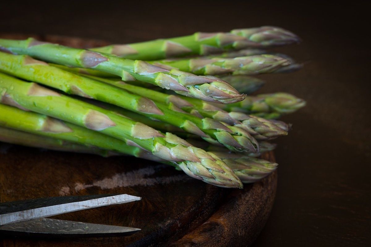 Ternyata sayur ini bisa sebabkan urin berbau busuk