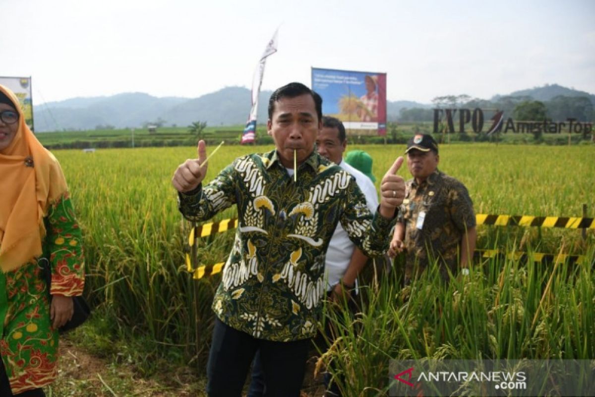 Bupati Batang minta Dipertan berikan pendampingan modernisasi pertanian