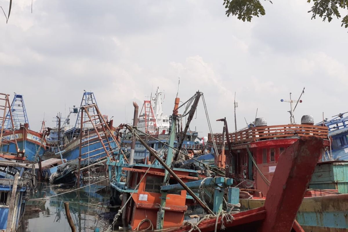 Pendapatan nelayan Natuna berkurang Hingga 75 persen