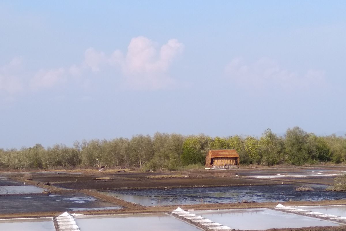 Hujan hambat produksi petambak garam di Jeneponto