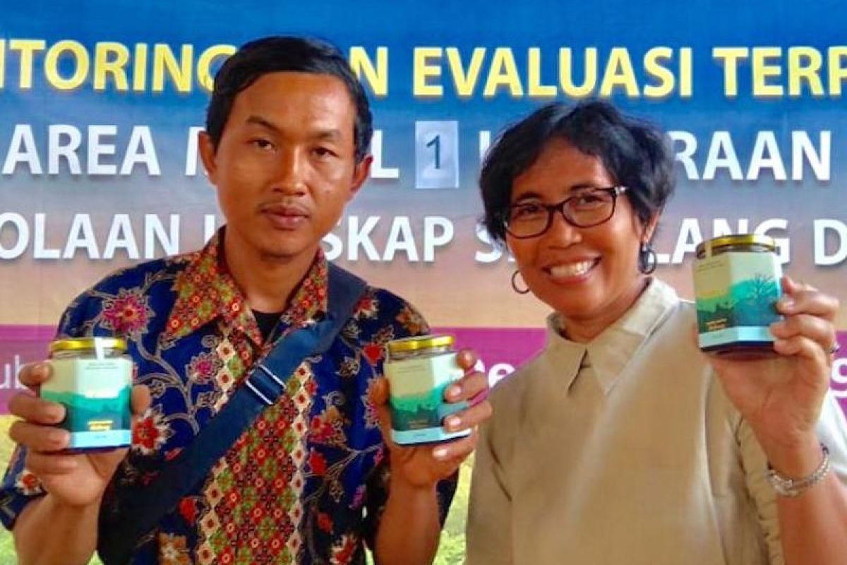 Madu sialang jadi sumber ekonomi warga Musi Banyuasin