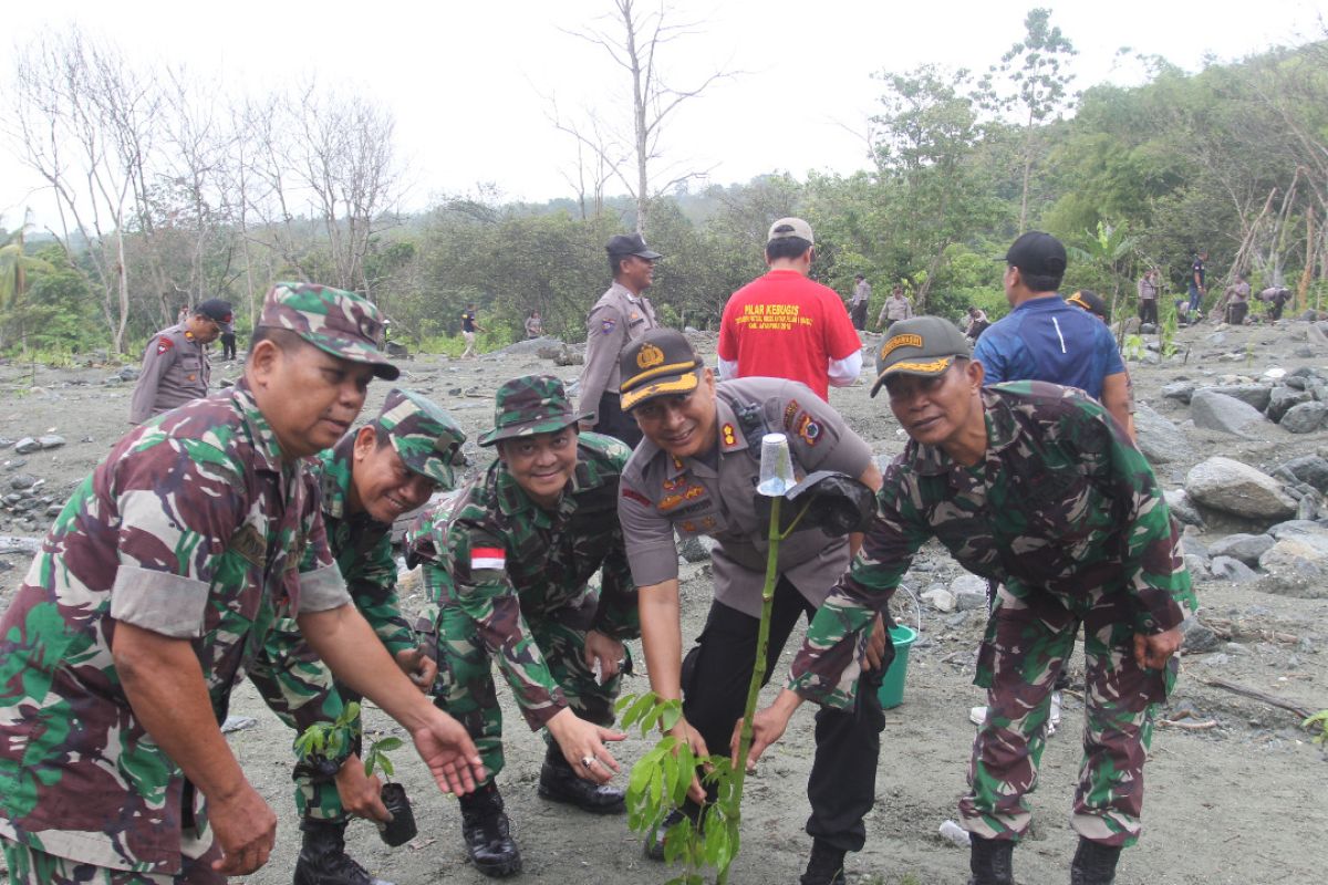 Aparat TNI-Polri, pemerintah bersama warga Jayapura tanam 1.000 bibit pohon