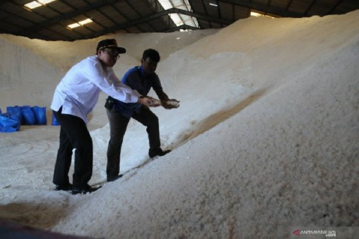 Produksi garam melimpah, ratusan ton tak tertampung di gudang PT Garam, Madura