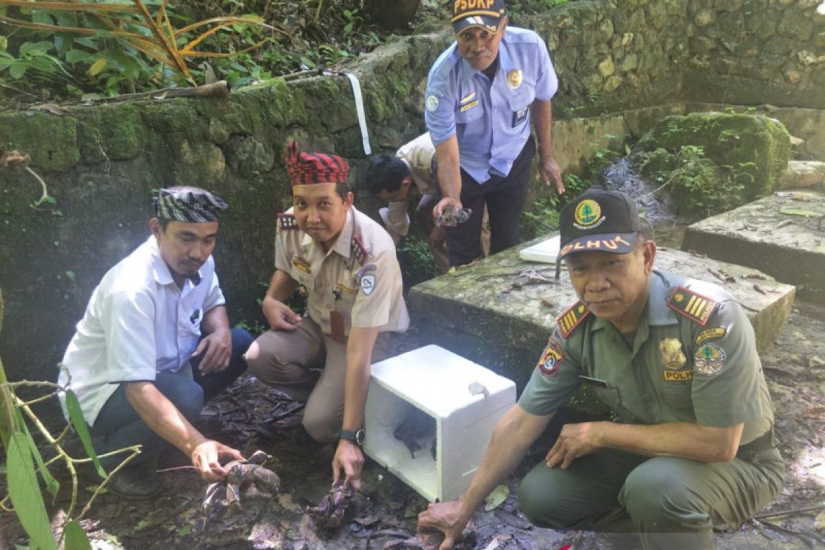 Januari-Oktober, SKIPM Baubau gagalkan 30 kasus biota laut