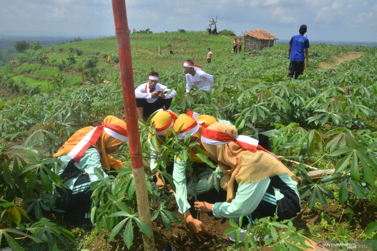 Jateng pulihkan 251.037 hektare lahan dan hutan sejak 2014