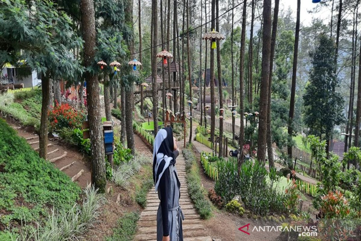 Lawu Park tawarkan wahana permainan dan penginapan