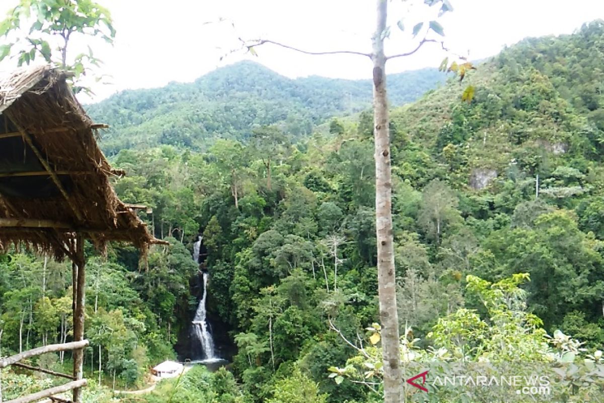 Melirik potensi wisata Pasia Laweh: Ikan Banyak hingga Kelok Hp