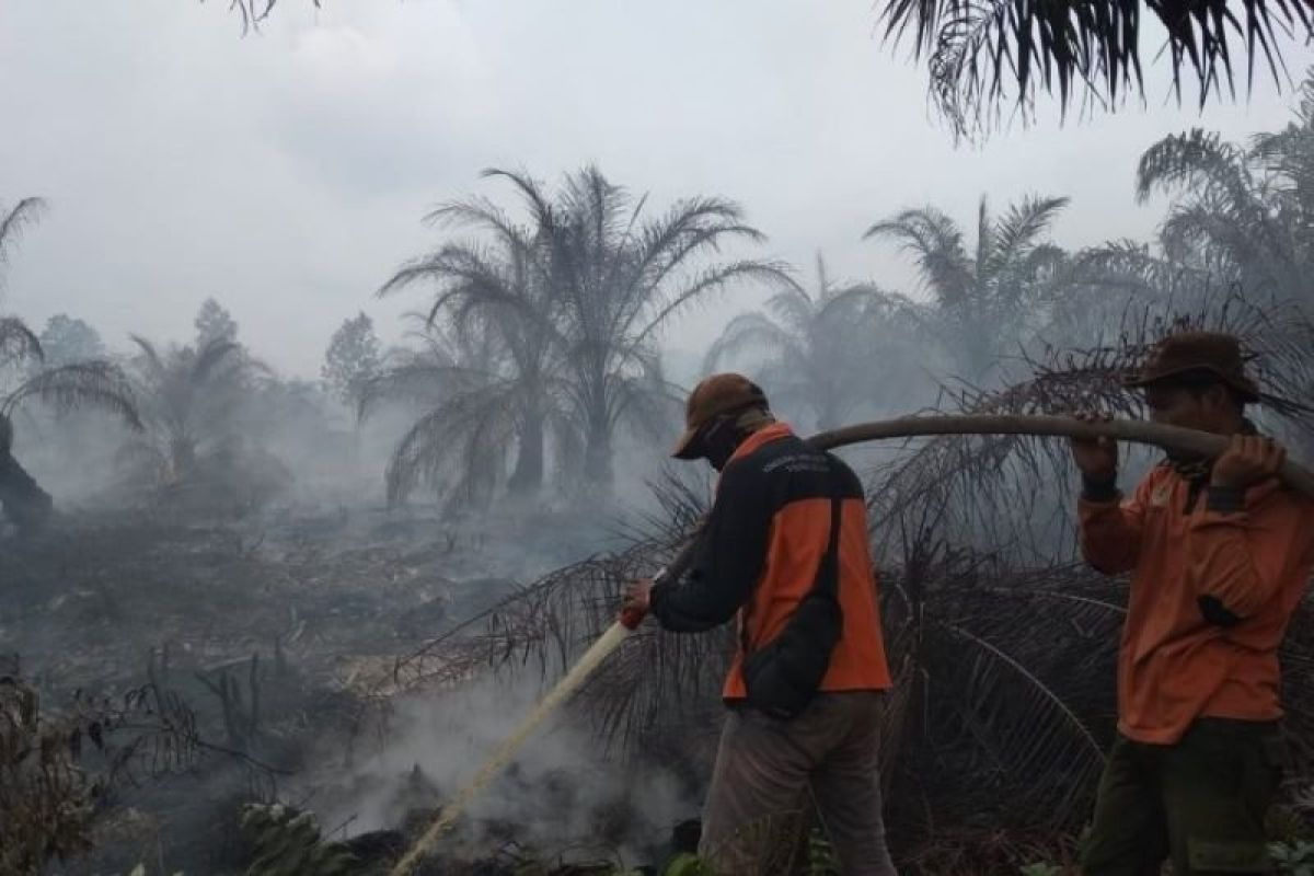 Upaya pencegahan karhutla di tengah pandemi COVID-19