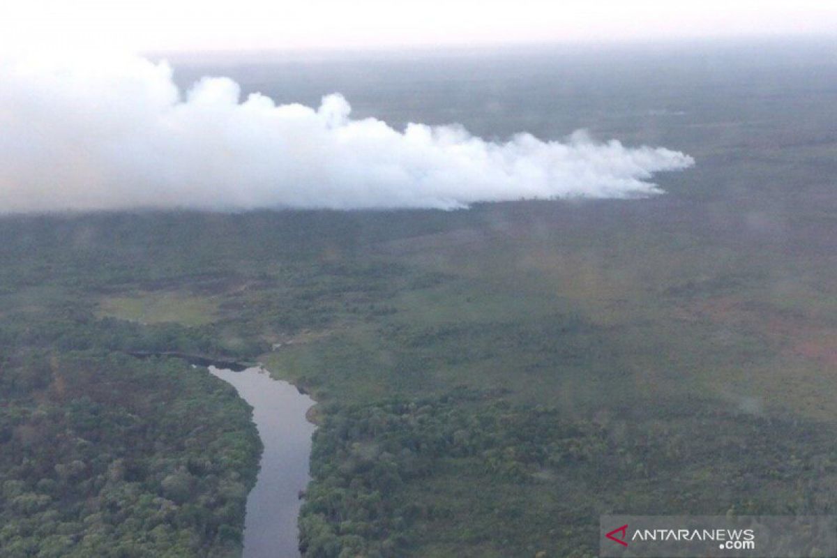 Waduh, 10 hektare hutan di SM Giam Siak Kecil Riau terbakar