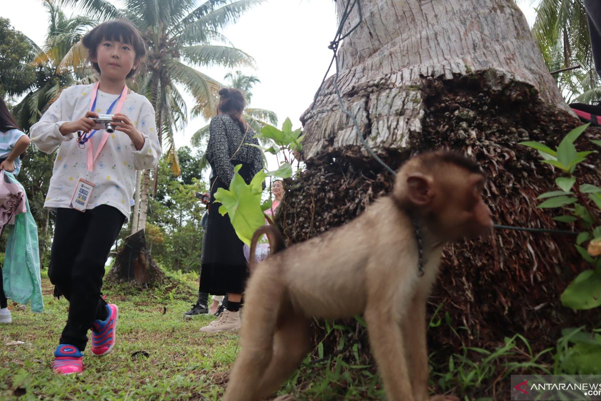 Ratusan wisatawan China mengunjungi tiga objek wisata Pariaman