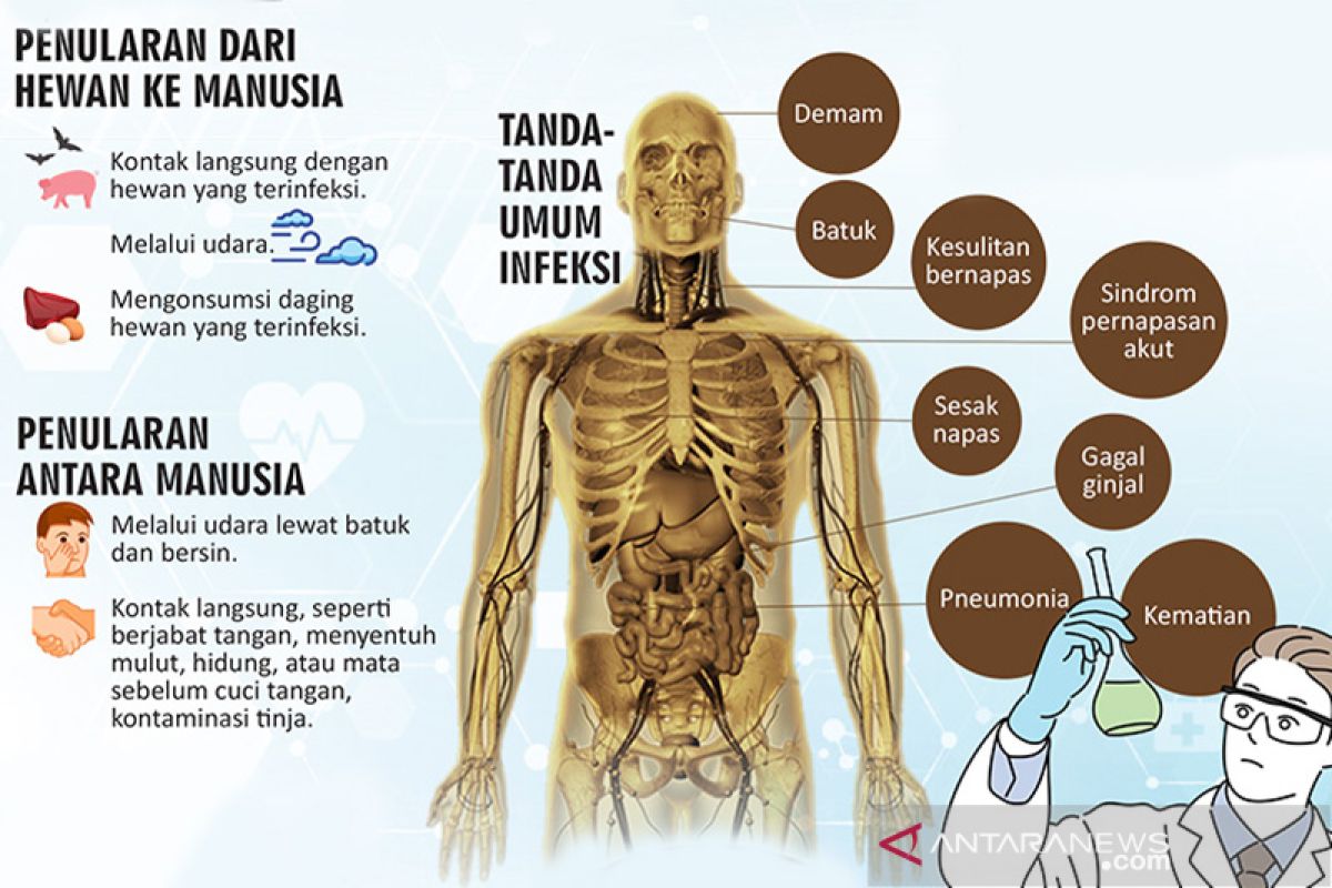 Paris membatalkan pawai Tahun Baru Imlek menyusul sebaran virus corona