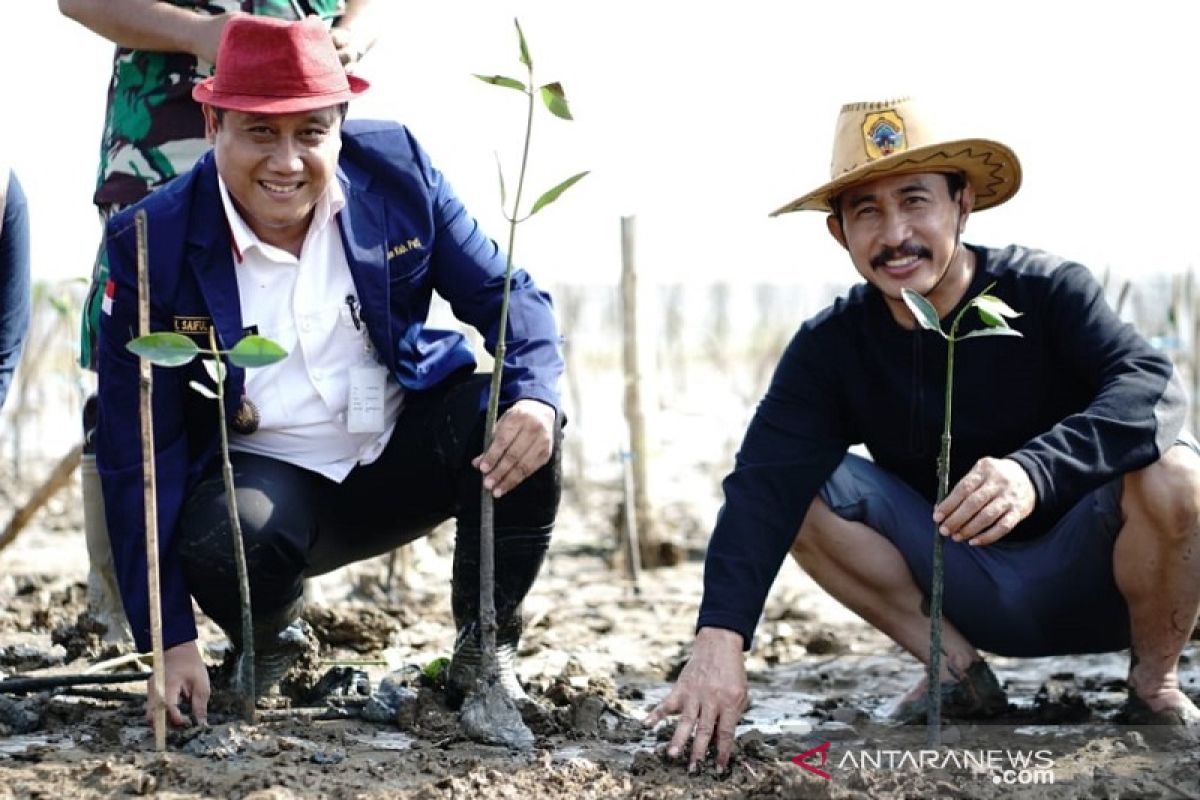 Ribuan bibit mangrove ditanam di sepanjang Pantai Kertomulyo Pati