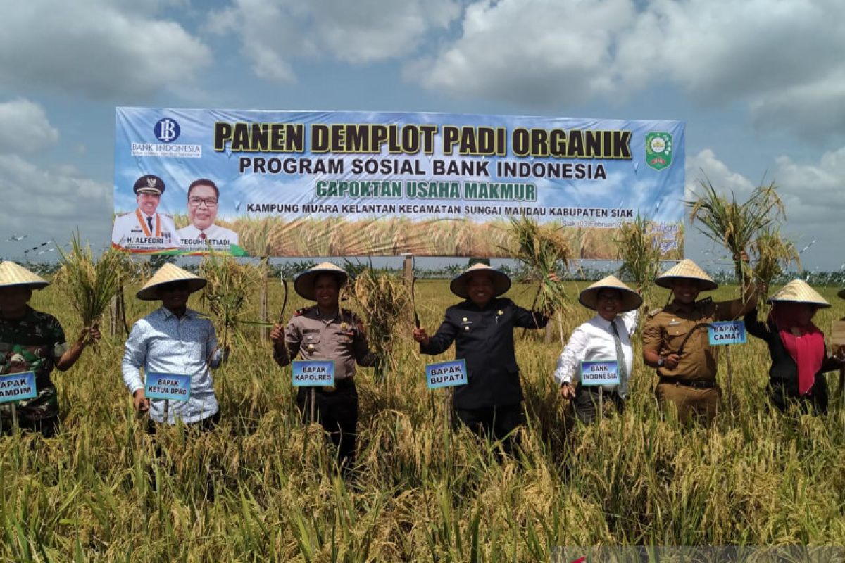 Siak pertahankan lahan persawahan seluas 5.000 ha