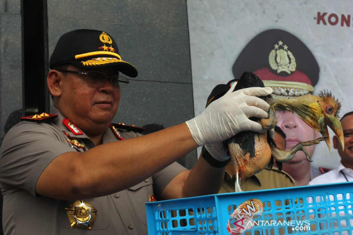 Penyelundupan ratusan satwa dilindungi senilai Rp1,5 miliar digagalkan polisi