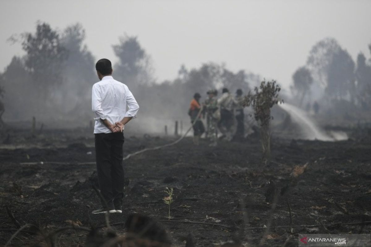 Danrem 031/WB minta semua pihak serius tanggulangi karhutla, begini penjelasannya