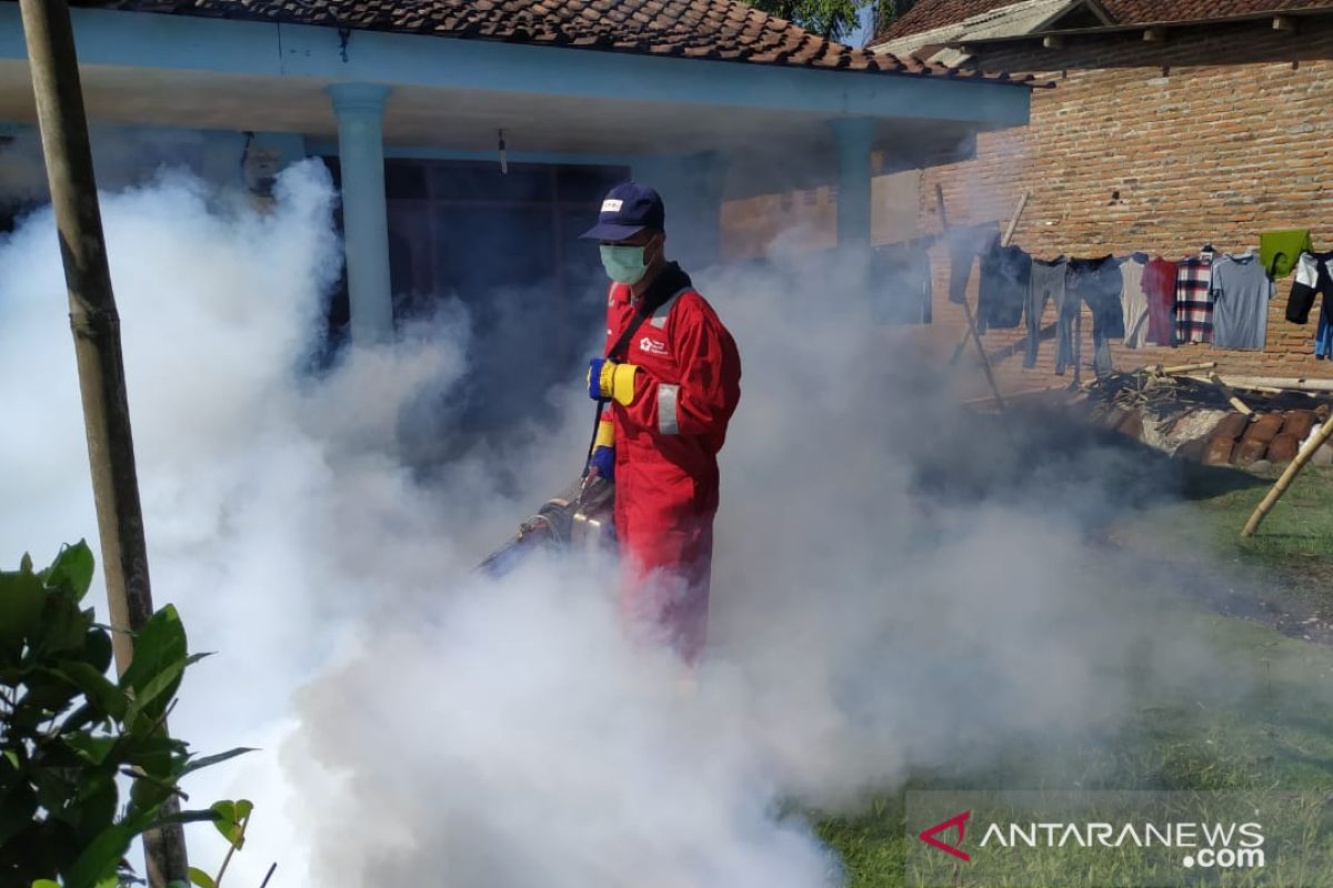 Empat warga Sikka meninggal, status KLB DBD diperpanjang