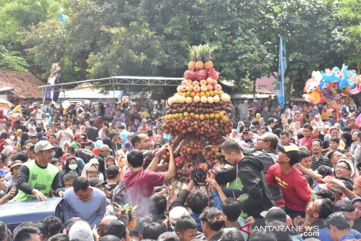 Ayo ke Desa Limbangan Pekalongan mumpung ada festival durian