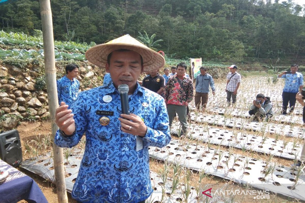 Operasi pasar bawang putih siap digelar di Batang