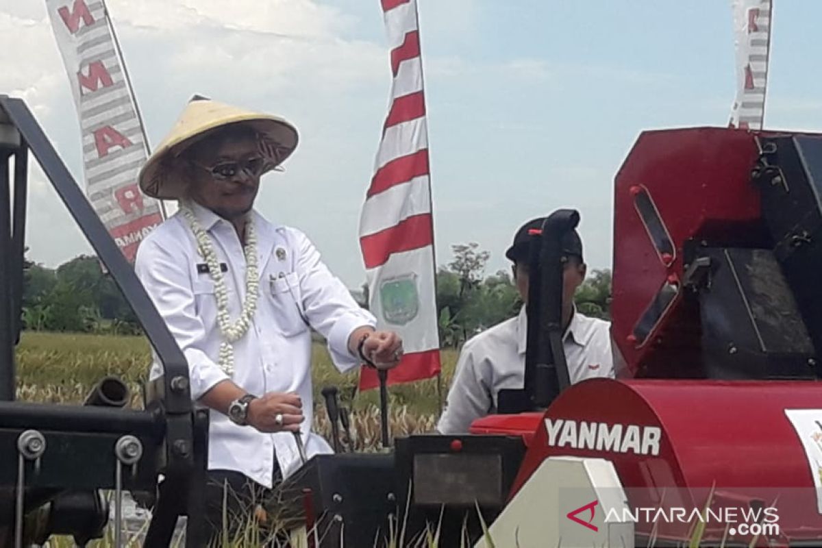 Kementan mempersiapkan cetak sawah 600.000 hektare bersama BUMN