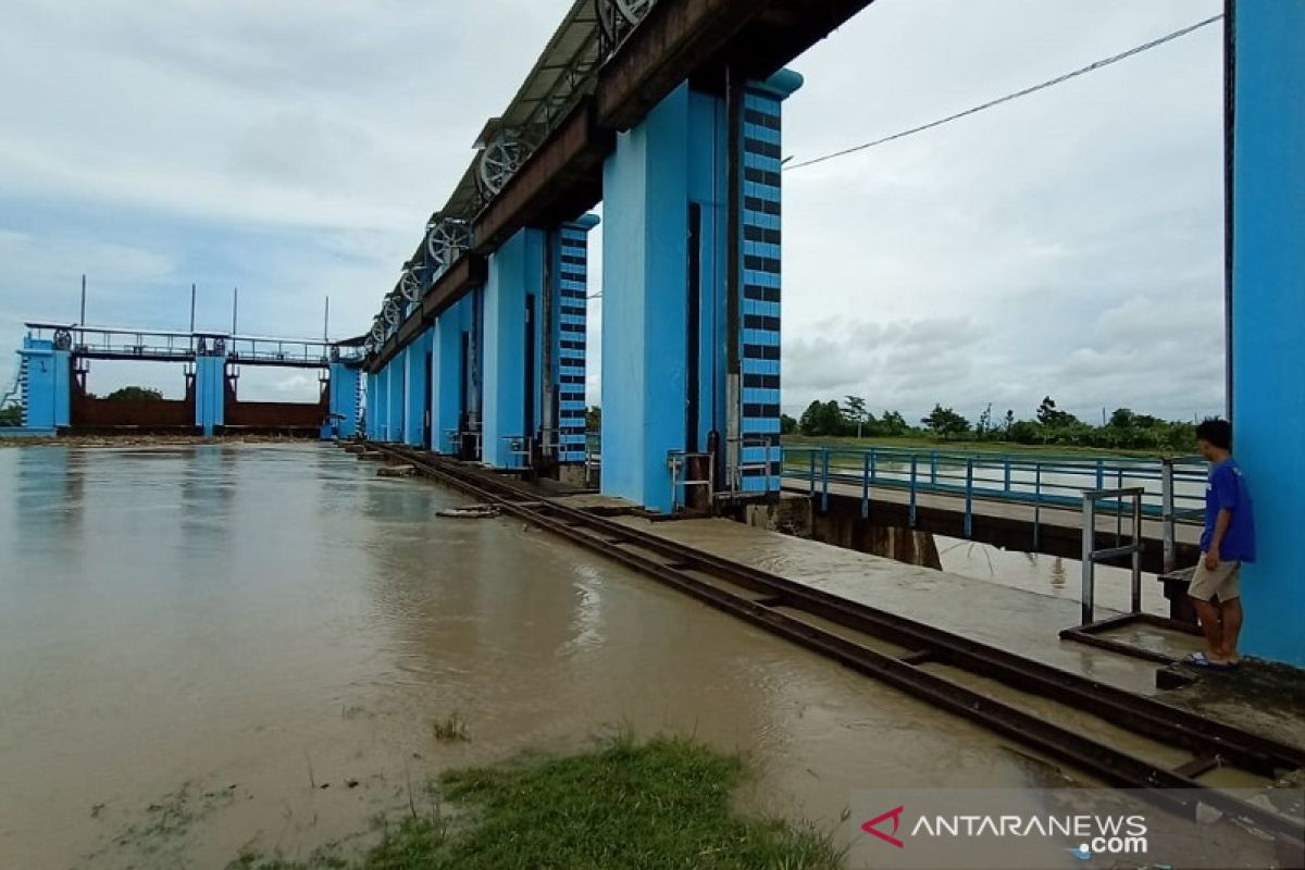 Kiriman air capai 833 m3/detik, Bendung Wilalung Kudus Siaga III banjir