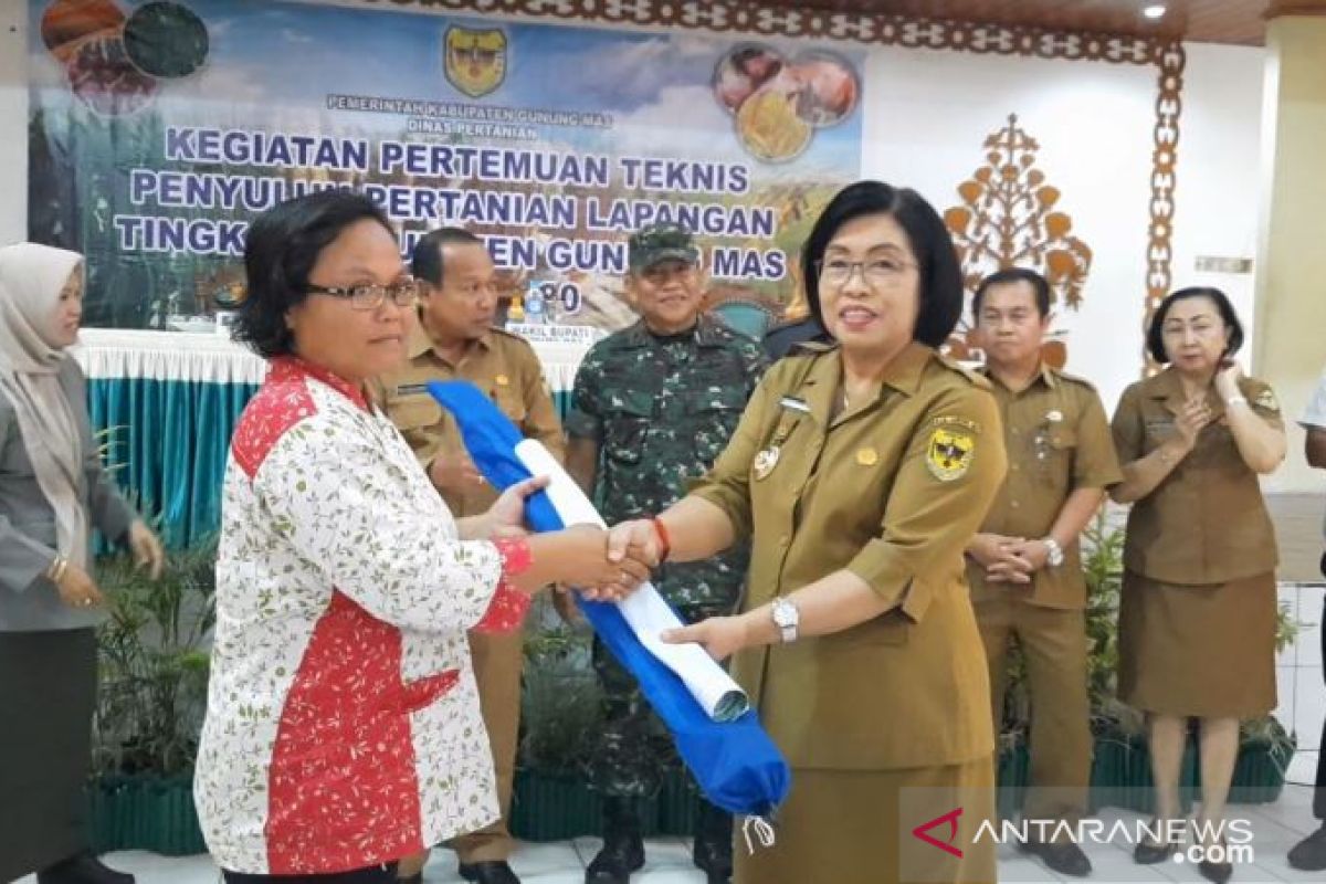 Peningkatan kapasitas penyuluh pertanian jadi perhatian Pemkab Gumas