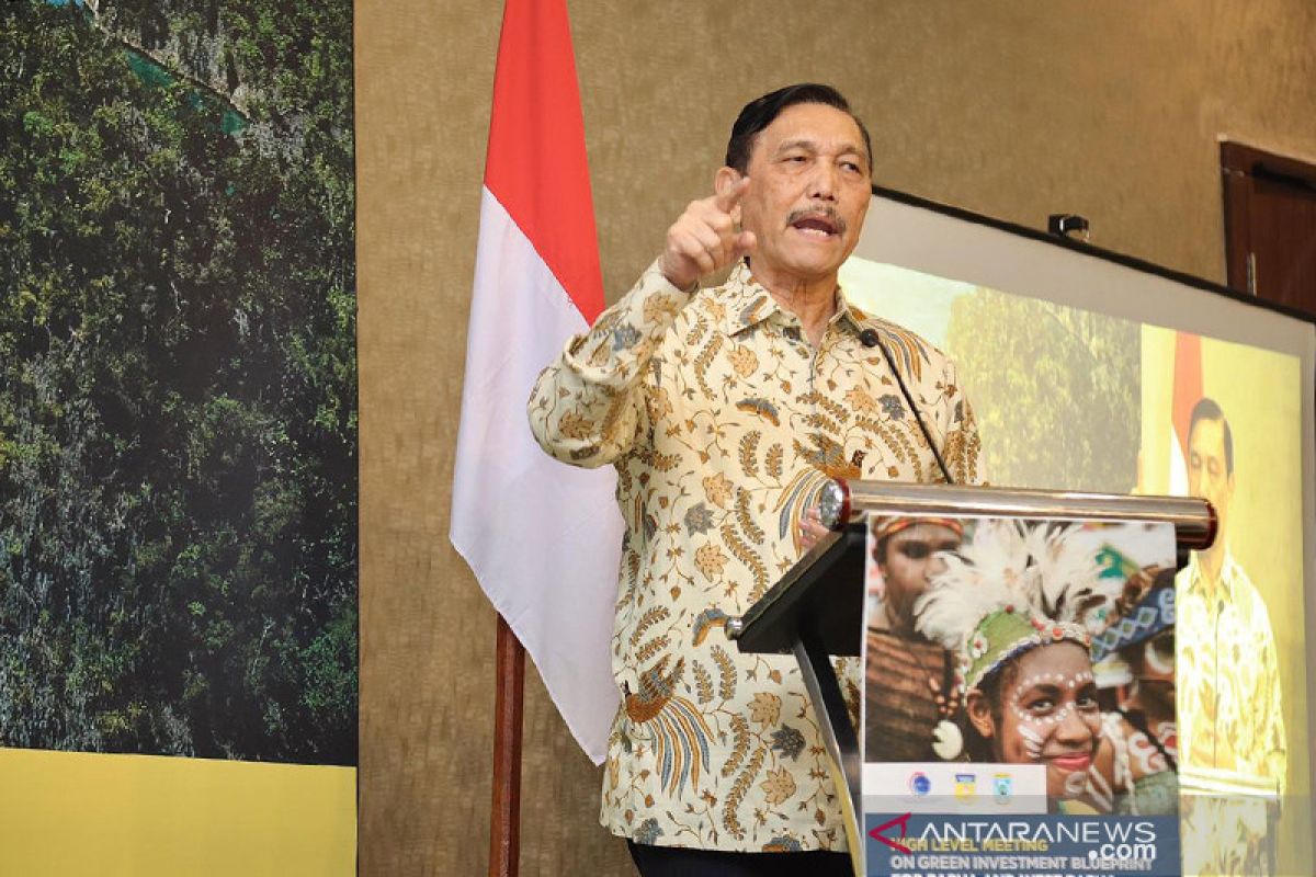 Presiden  Jokowi tunjuk Luhut Panjaitan sebagai Menteri Perhubungan ad interim