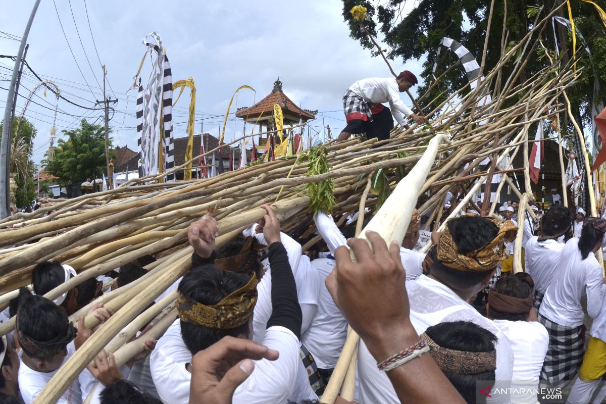 Ribuan warga ikuti Tradisi Mekotek