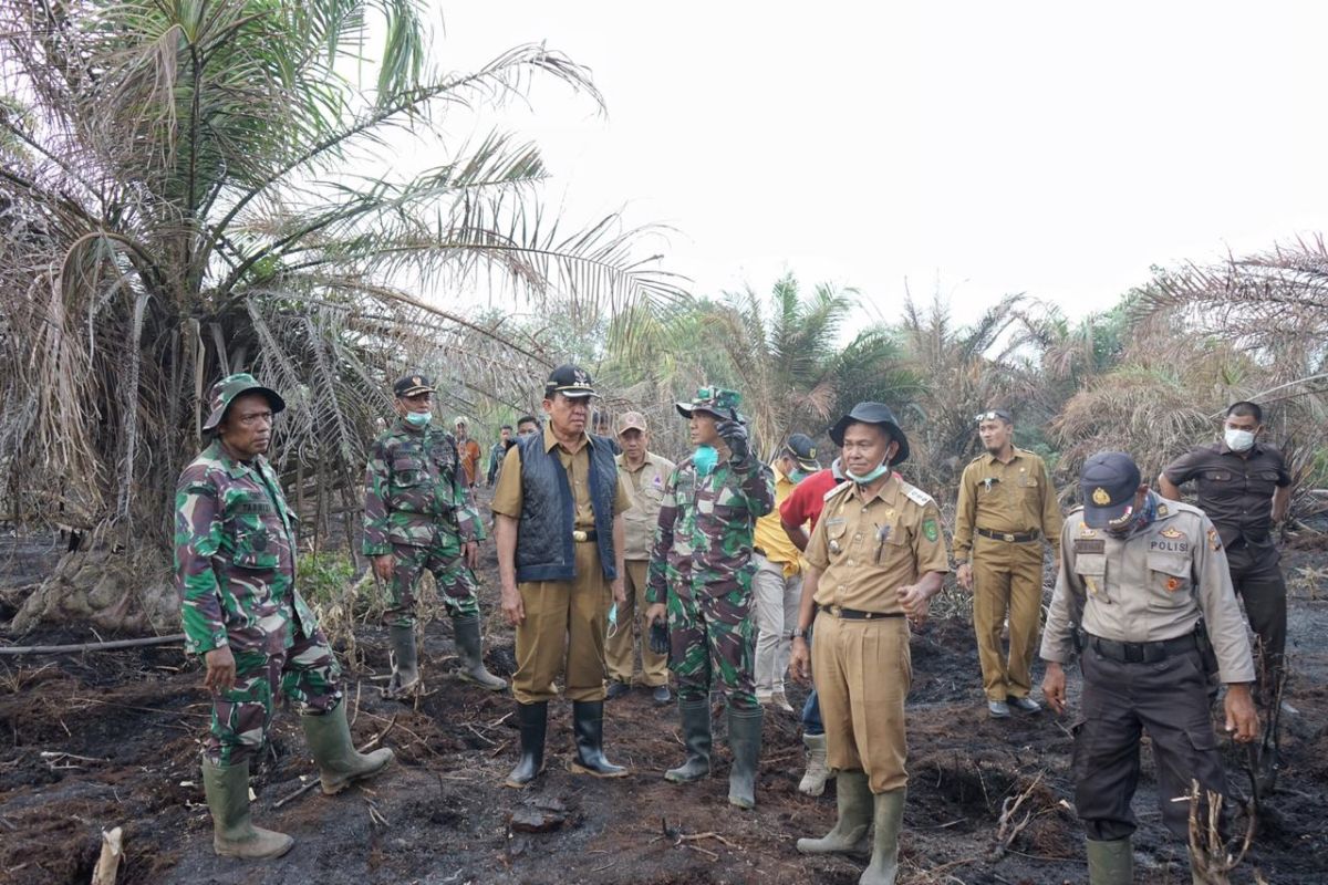 Dua hektare lahan milik warga di Inhil terbakar