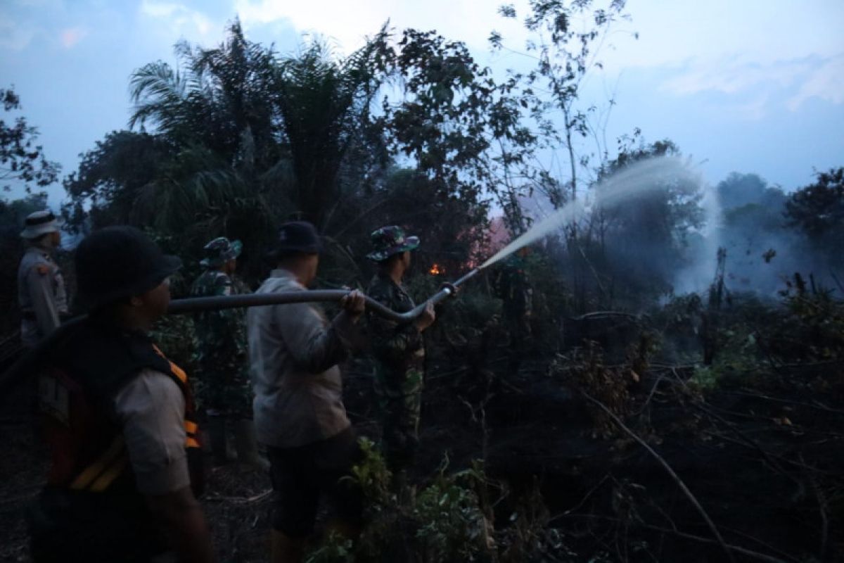 Tim Gabungan padamkan kebakaran lahan gambut hingga malam di Inhil