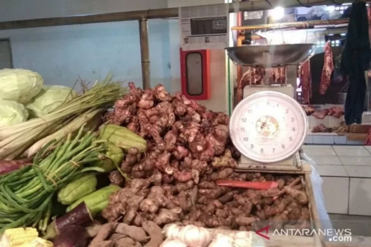 Akademisi: obat herbal mampu lawan serangan COVID-19