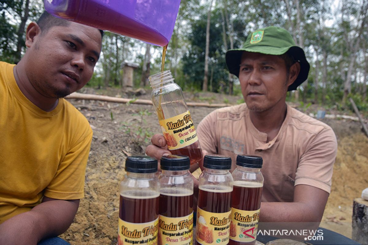 Mencegah Karhutla, Madu langka mereka dapat (bagian-1)