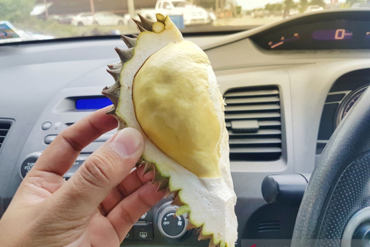 Siapa sangka durian dan nangka jadi komponen mobil listrik masa depan?