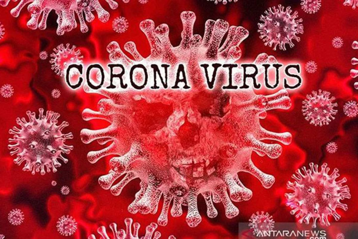 Kominfo sebut 232 hoaks virus corona ditemukan hingga Senin pagi