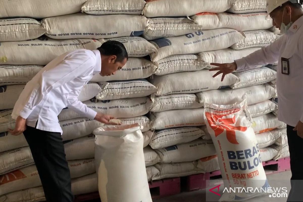 Bulog jamin kecukupan stok pangan di Riau hingga enam bulan mendatang