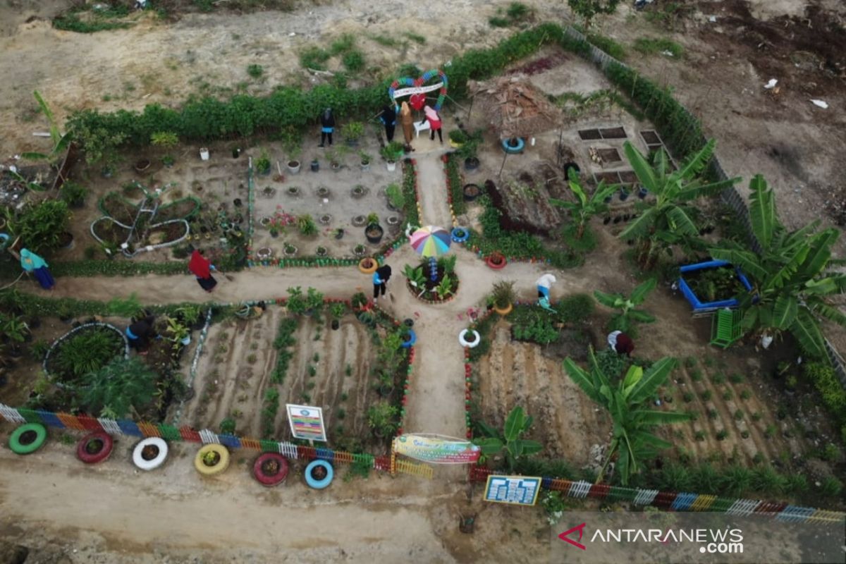 Menyulap pembuangan sampah menjadi taman obat dan rempah