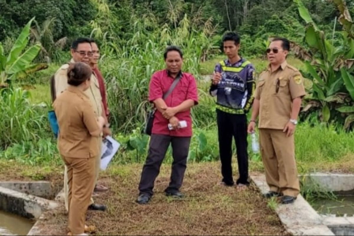 DPKP Gumas manfaatkan berbagai peluang pacu PAD