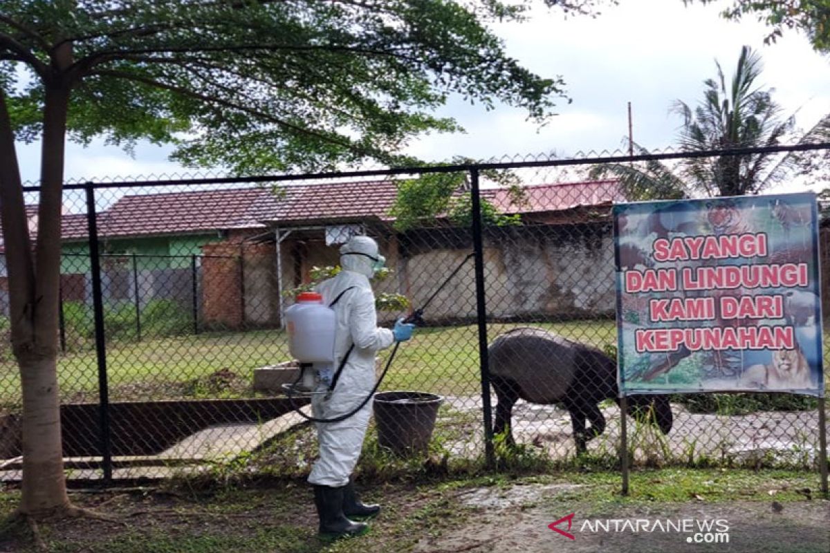 Kebun binatang Kasang Kulim Kampar disemprotkan disinfektan, begini tujuannya