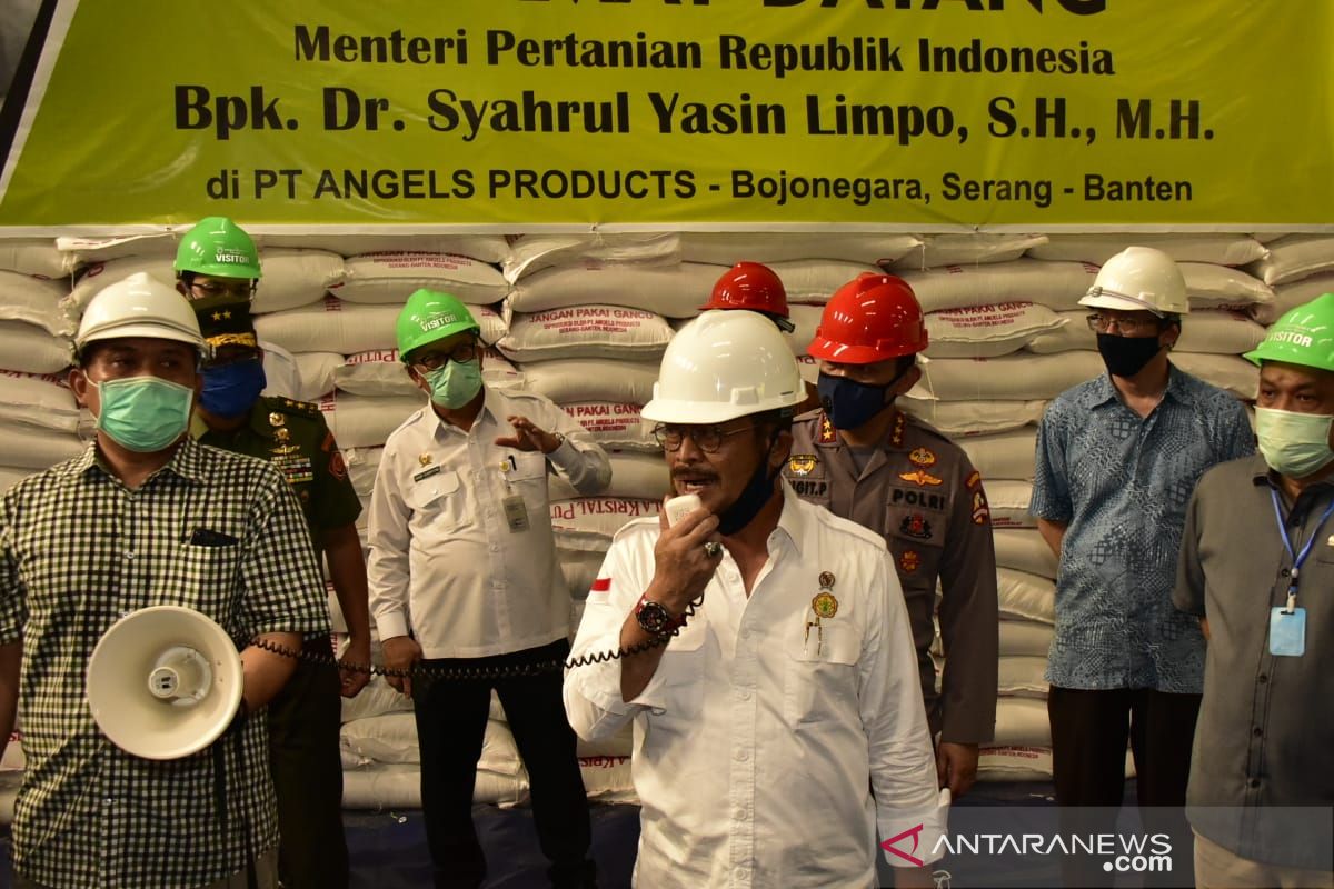 Pemerintah segera gelontorkan  250.000 ton gula pasir ke pasar