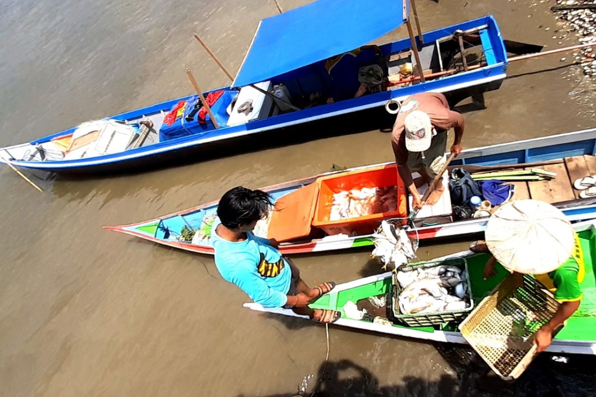 Tangkapan nelayan menurun akibat COVID-19