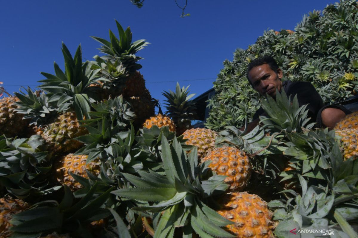 Nanas dapat bantu menyehatkan dan mempercantik kulit