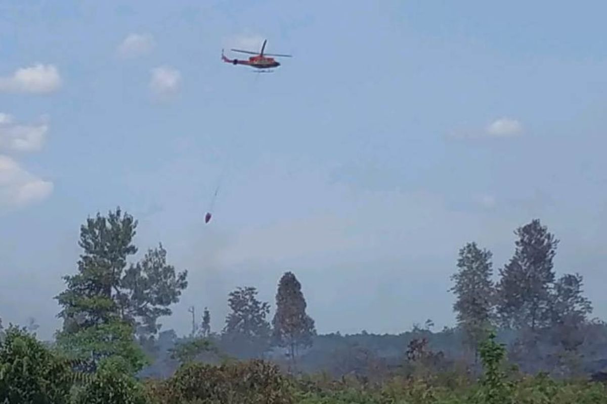 Karhutla di Rupat, 20 hektare lahan gambut habis terbakar