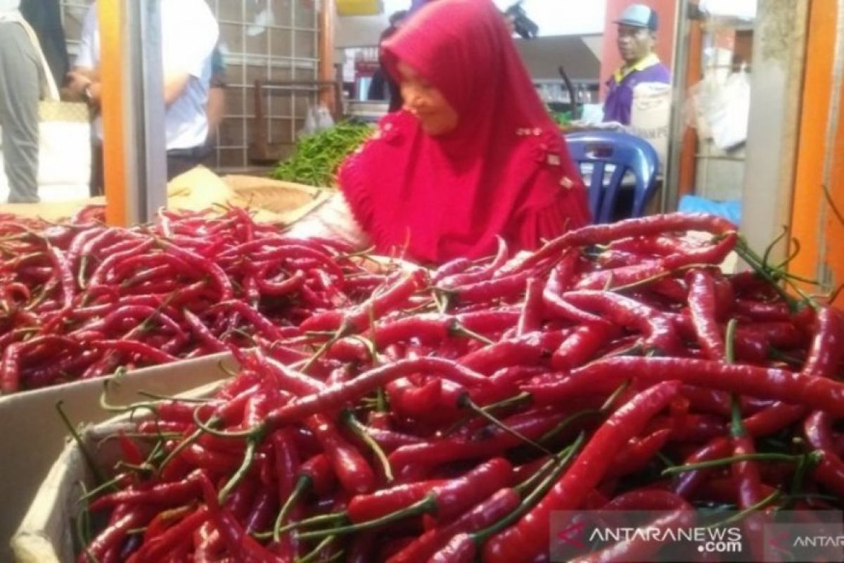 Cabai keriting Pekanbaru  tembus Rp40.000 per kilogram jelang Idul Adha 1441 H