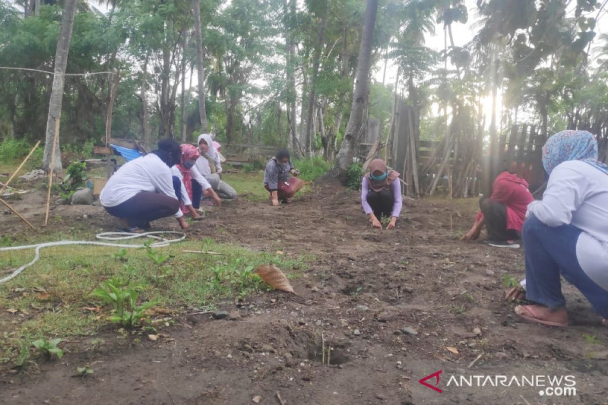 Ibu-ibu di Panau, bergerak manfaatkan pekarangan di Hari Bumi