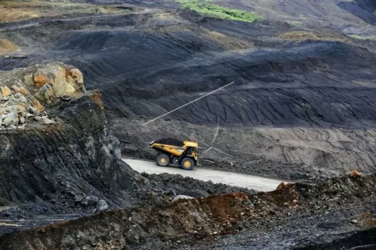 Di tengah pandemi, Bukit Asam raup laba Rp1 triliun