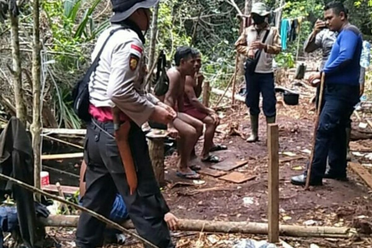 Empat pelaku illegal logging ditangkap Polres Bengkalis