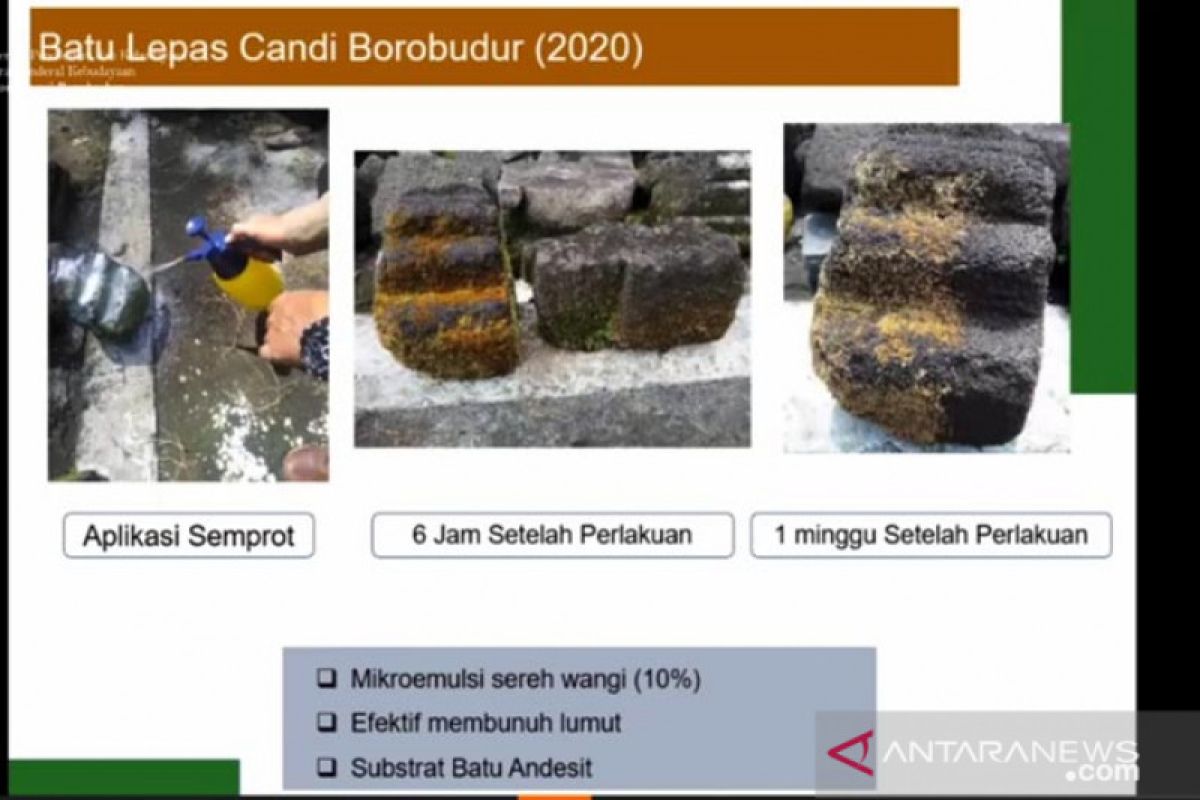 Miliki beberapa keunggulan, mikroemulsi minyak sereh diterapkaan untuk konservasi Candi Borobudur