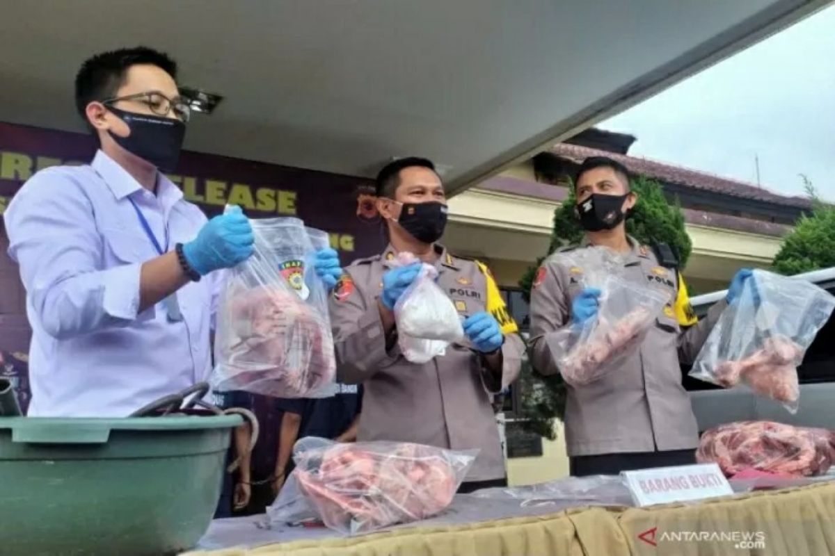 63 ton daging babi "disulap" jadi daging sapi beredar di masyarakat